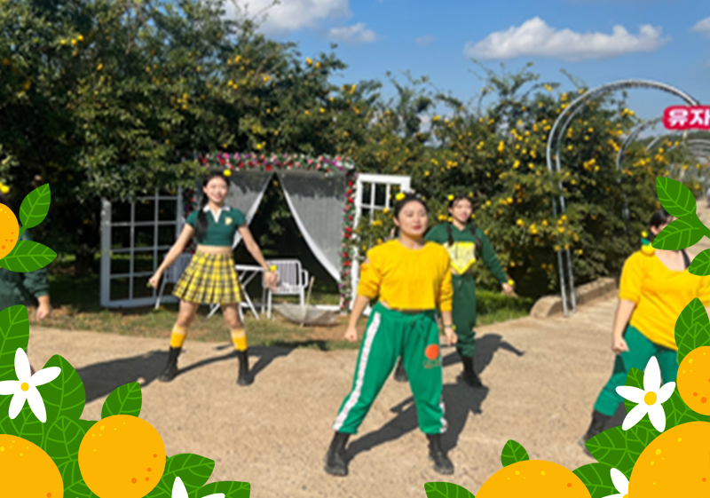 유자밭 게릴라 퍼포먼스