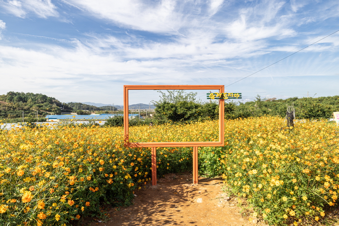 유자밭그리기 전국 사생대회